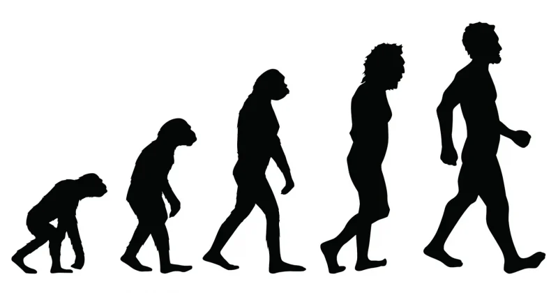 evolution