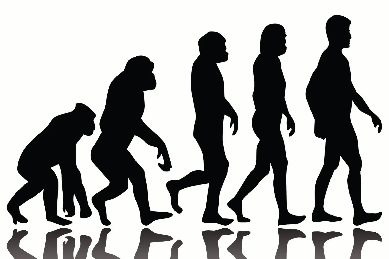 Evolution image