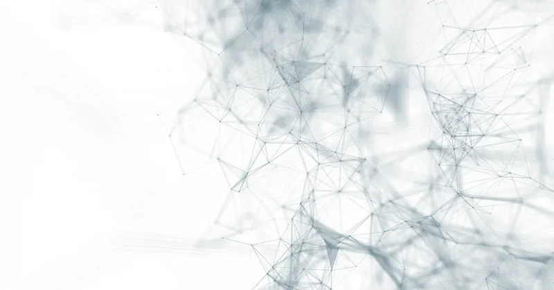 Digital interweb