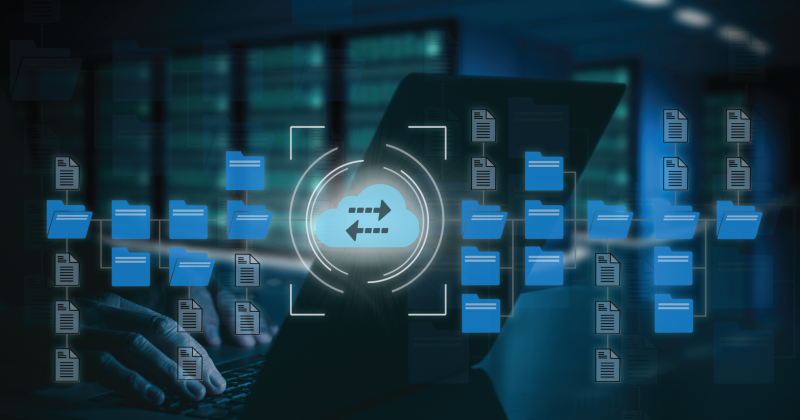 data sharing and interoperability